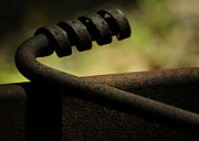 Ironsong Photograph by Rebecca Sherman