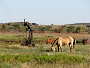 Kansas tableaux Photograph by Keith Stokes