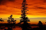 Lake Tahoe Sunset Photograph by Bruce Friedman