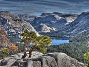 Lake Tenaya from Olmsted Point Photograph by Joe Schofield