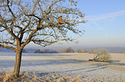 Landscape in beautiful warm morning light Photograph by Matthias Hauser