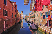 Left Hanging High to Dry Photograph by Andy Bitterer