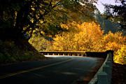 Leisurely Drive Photograph by Jon Ares