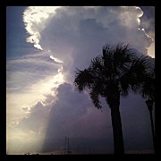 Let It Rain! Photograph by Dustin K Ryan