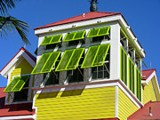 Lime Green Photograph by Jean Wolfrum