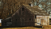 Little Activity Photograph by Ed Peterson