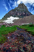 Logan Pass View Photograph by David Buhler
