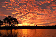 Magic Sunrise Photograph by Melany Sarafis