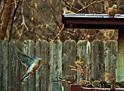 Make Room Photograph by Ed Peterson