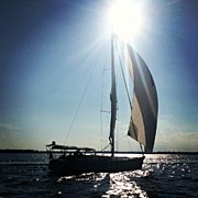 Mark From Charleston Sailing School Got Photograph by Dustin K Ryan