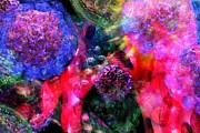 MICROSCOPE Dreaming 4 Digital Art by Russell Kightley