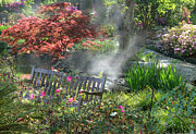 Misty Arboretum Bench Photograph by VJ Lair