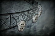 More Then Meets The Eye Photograph by Evelina Kremsdorf