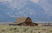 Mormon Row - Grand Teton National Park Photograph by Veronica Batterson