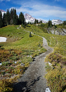 Mountain Path Photograph by Lynn Wohlers
