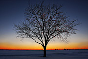 Nature's Light Photograph by Melany Sarafis