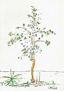 New Tree Painting by Teddy Campagna