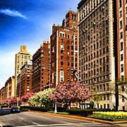 New York City Cherry Blossoms  Photograph by Vivienne Gucwa