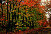 Northern Michigan Autumn 5 Photograph by Scott Hovind