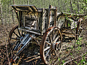 Old Wagon Photograph by Fred Denner
