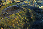 On the Rocks Photograph by Scott Hovind