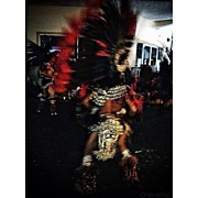 Our Lady Of Guadalupe Festival Photograph by Natasha Marco