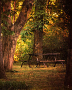 Our Special Place Photograph by Jai Johnson