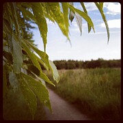 Out In The #countryside Photograph by Call Me Abbie - Abbie Shores