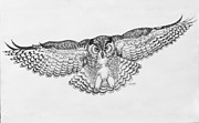 Owl In Flight by Carol Nistle