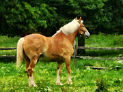 Palomino Walking Away Photograph by Susan Savad