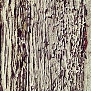 Peeling Paint Photograph by Nic Squirrell