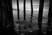Peir Legs Photograph by Matt  Trimble