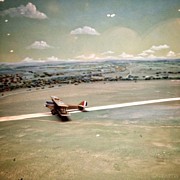 Petite Plane Photograph by Natasha Marco