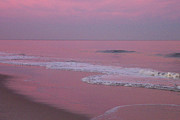 Pink Atlantic - Cape Henlopen State Park - Lewes DE Photograph by Roche Fine Art Pink Atlantic - Cape Henlopen State Park - Lewes DE Photograph by Roche Fine Art