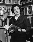 Rachel Louise Carson Photograph by Granger
