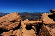 Raven Flying Near Ooh Aah Point Photograph by Julie Niemela