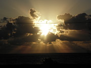 Rays Of Beauty Photograph by Kim Galluzzo