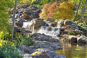 Red Maple Rill at the Arboretum Photograph by VJ Lair
