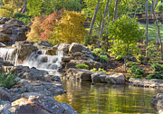 Red Maple Rill Photograph by VJ Lair
