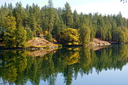 Reflecting the Beautiful Day Photograph by Ben Upham III
