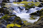 Reflections In Sol Duc River, Olympic Photograph by Konrad Wothe