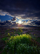 Reverence Photograph by Phil Koch