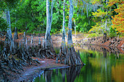 Riverside Photograph by Bill Barber