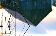 Rootwire Reflection Photograph by PJQandFriends Photography