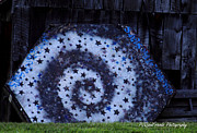 Rootwire Stars Photograph by PJQandFriends Photography