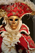 Ruffled Captain Portrait Photograph by Donna Corless