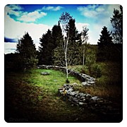 Rural Landscape Photograph by Natasha Marco