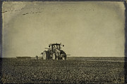 Rural Texas Morning Digital Art by Melany Sarafis