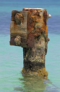 Rusted Dock Pier of the Caribbean IV Photograph by David Letts