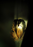 Sacred Heart Photograph by Rebecca Sherman